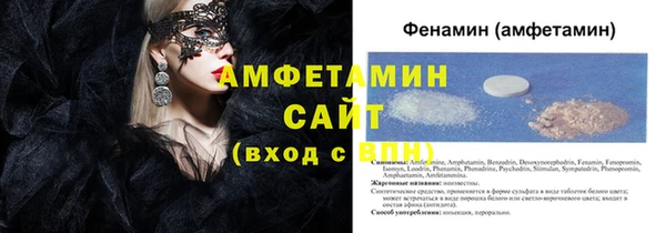 СК Алексин