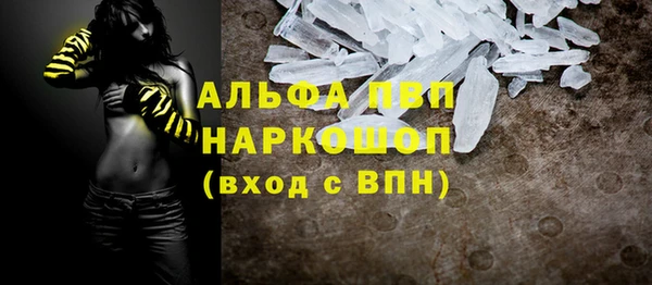 СК Алексин